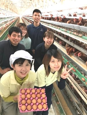 グリーンコープ 産直市場 / 【送料無料】ひなたまこっこ ふるさと赤